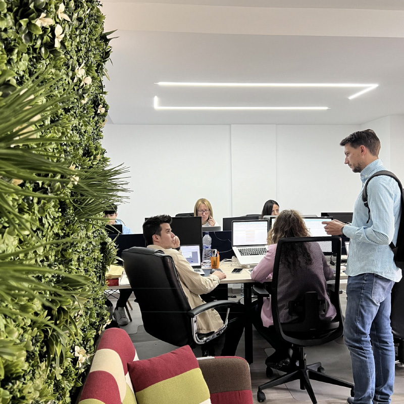 posicionamiento web torrevieja